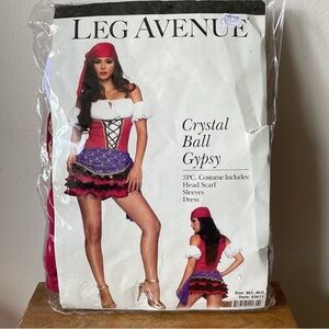 Leg Avenue Red and Purple Gypsy Costume